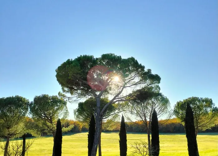 Fattoria NerbonaAgriturismo